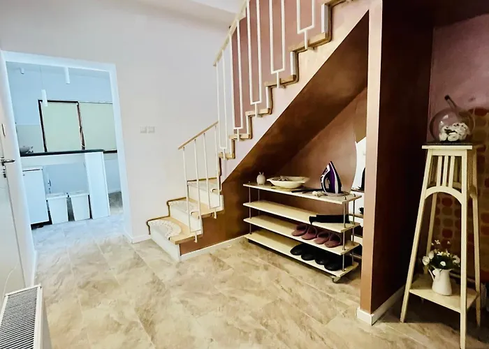 Sal * 티미쇼아라