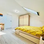 Sal * Timisoara